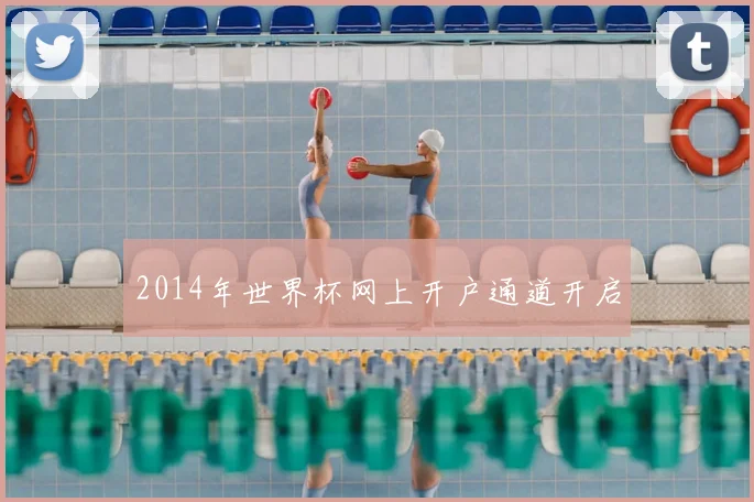 2014年世界杯网上开户通道开启