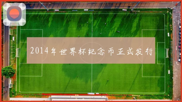 2014年世界杯纪念币正式发行