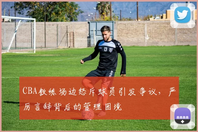 CBA教练场边怒斥球员引发争议,严厉言辞背后的管理困境