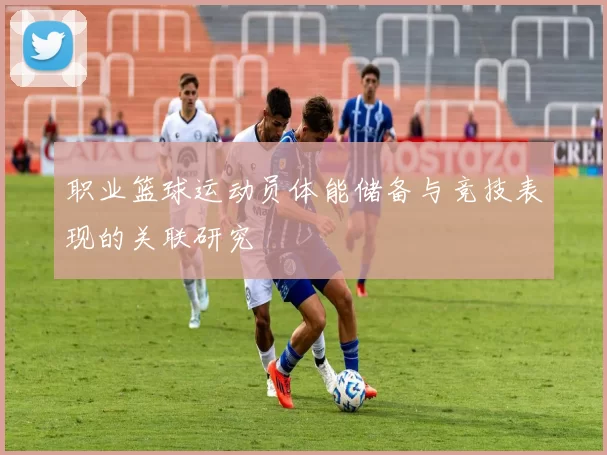 职业篮球运动员体能储备与竞技表现的关联研究