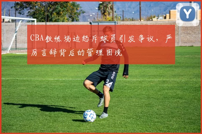 CBA教练场边怒斥球员引发争议，严厉言辞背后的管理困境