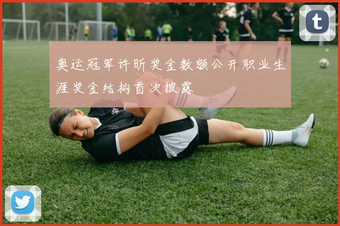 奥运冠军许昕奖金数额公开职业生涯奖金结构首次披露