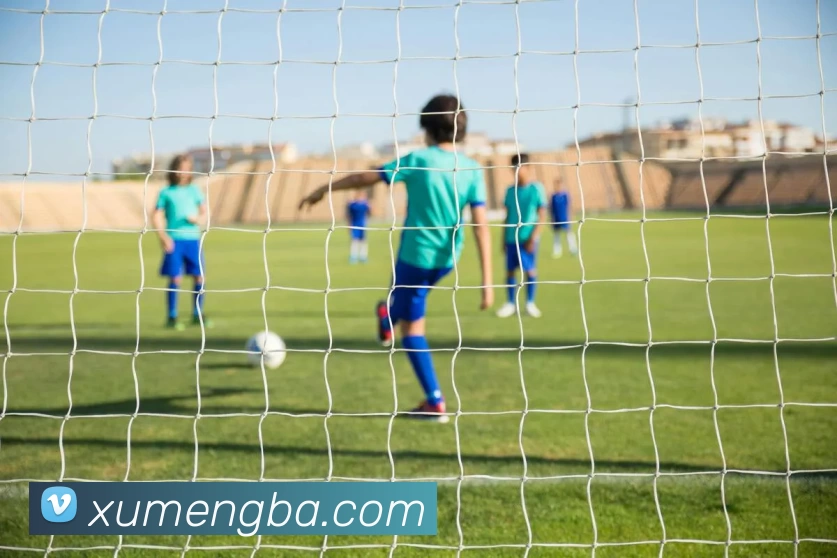 星空体育网页版入口平台生态图